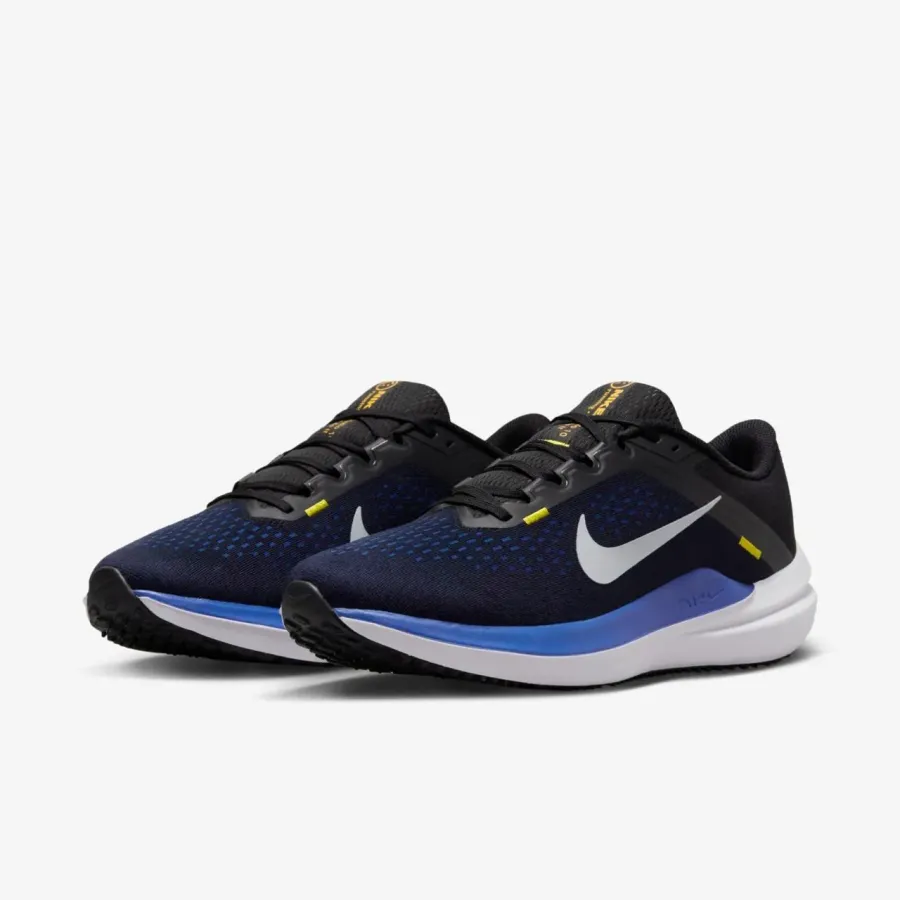 Кросівки Nike Winflo 10 DV4022-005