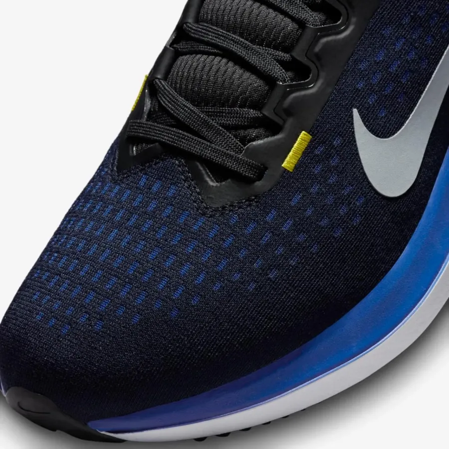 Кросівки Nike Winflo 10 DV4022-005