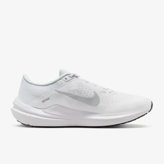 Кросівки Nike Winflo 10 DV4022-102