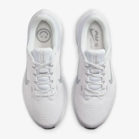 Кросівки Nike Winflo 10 DV4022-102