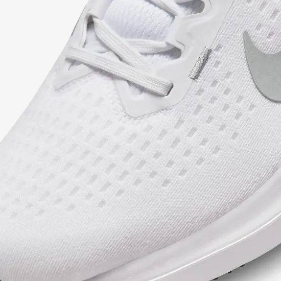 Кросівки Nike Winflo 10 DV4022-102