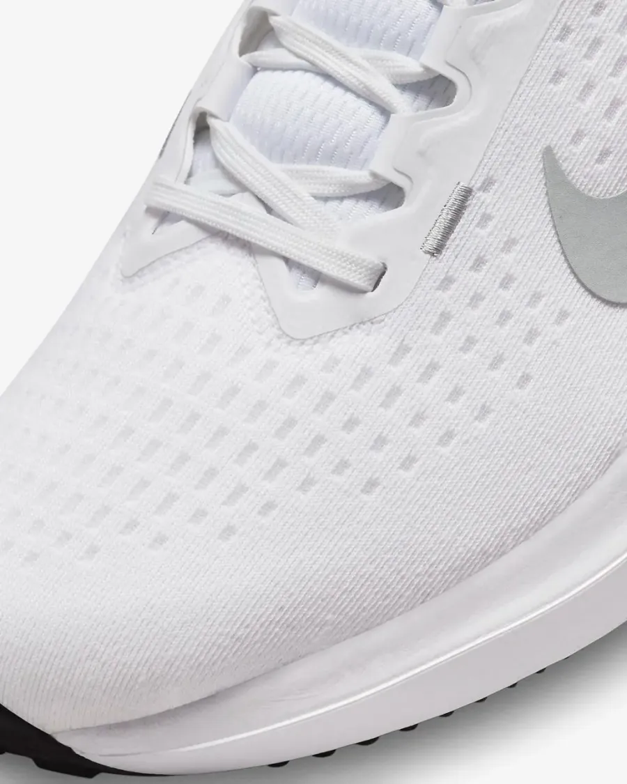 Кросівки Nike Winflo 10 DV4022-102
