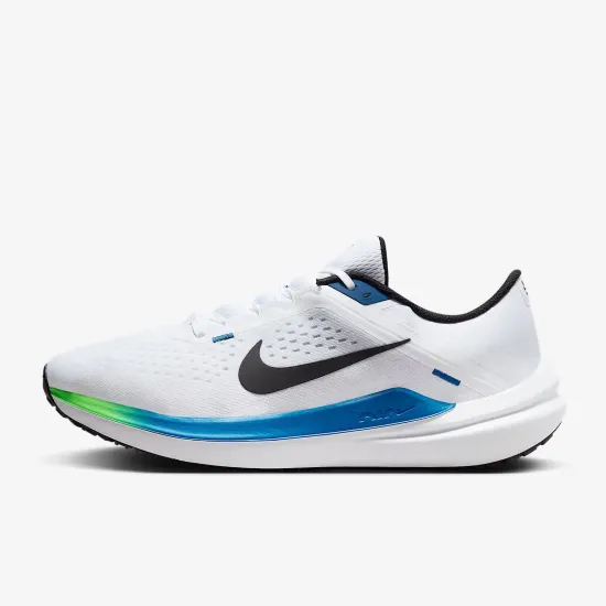 Кросівки Nike Winflo 10 DV4022-103