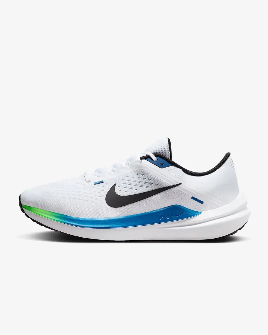 Кросівки Nike Winflo 10 DV4022-103