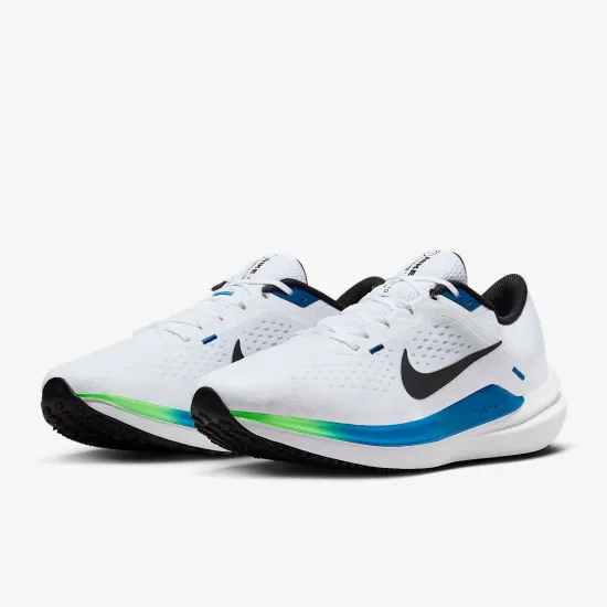 Кросівки Nike Winflo 10 DV4022-103