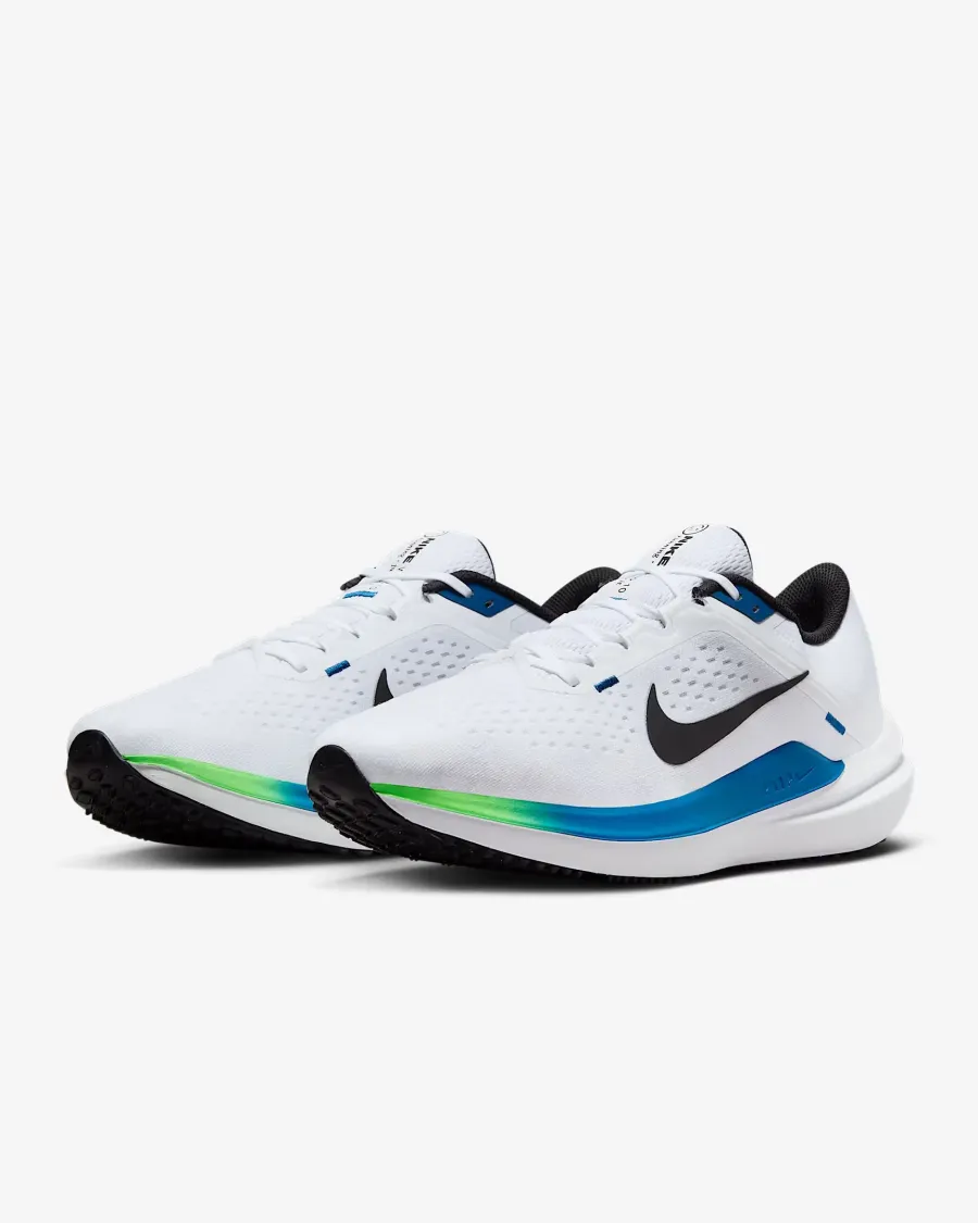 Кросівки Nike Winflo 10 DV4022-103