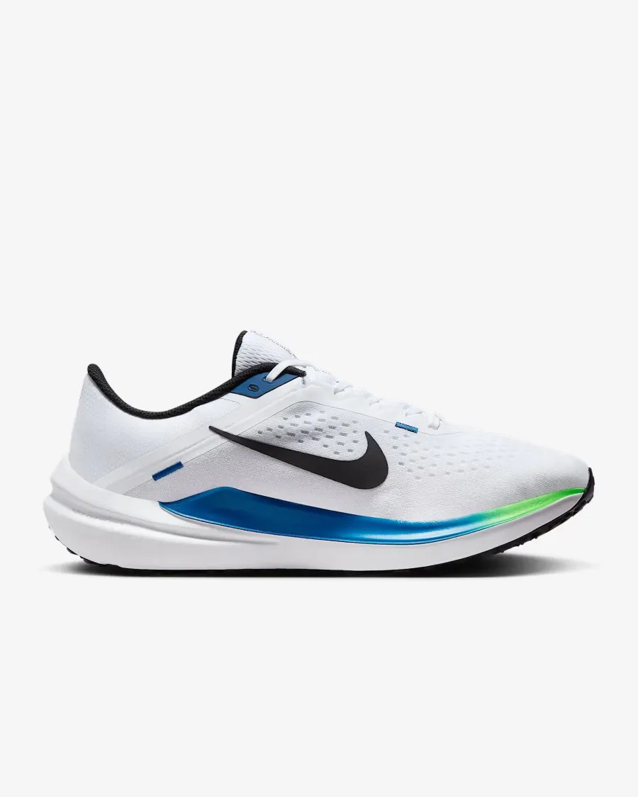 Кросівки Nike Winflo 10 DV4022-103
