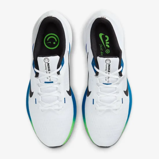 Кросівки Nike Winflo 10 DV4022-103