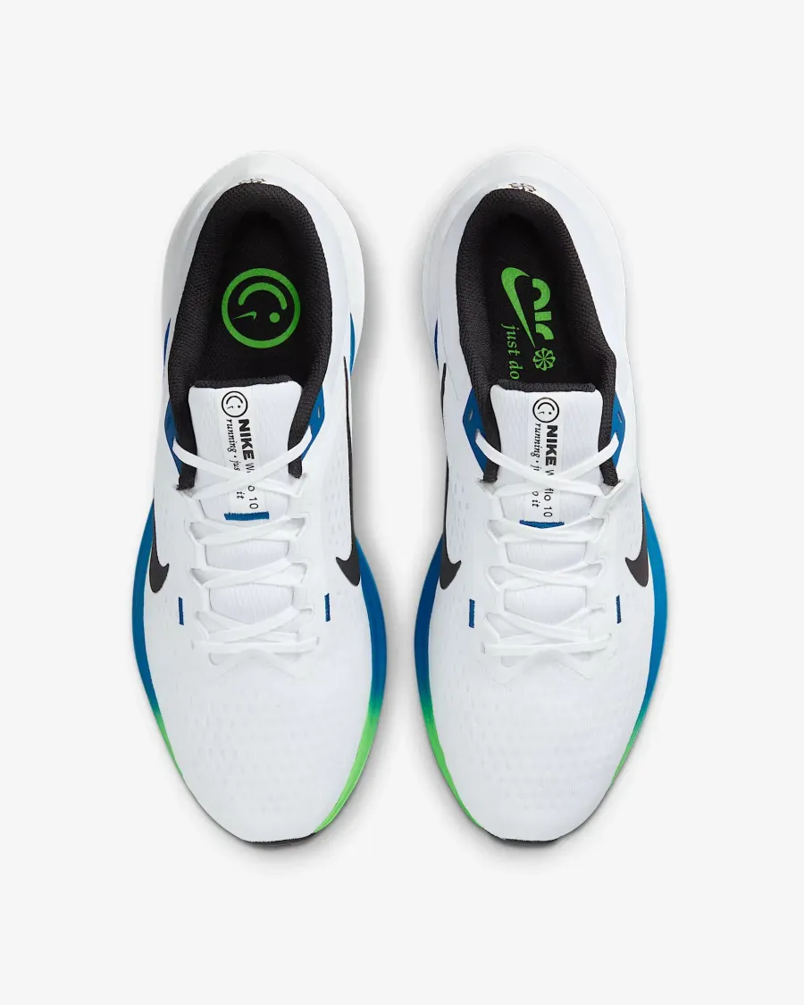 Кросівки Nike Winflo 10 DV4022-103