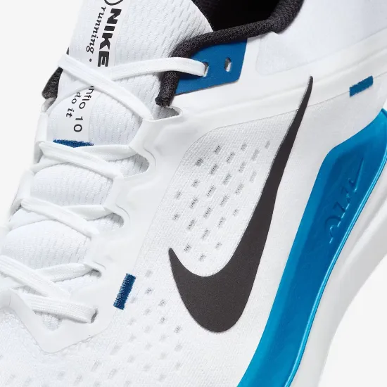 Кросівки Nike Winflo 10 DV4022-103