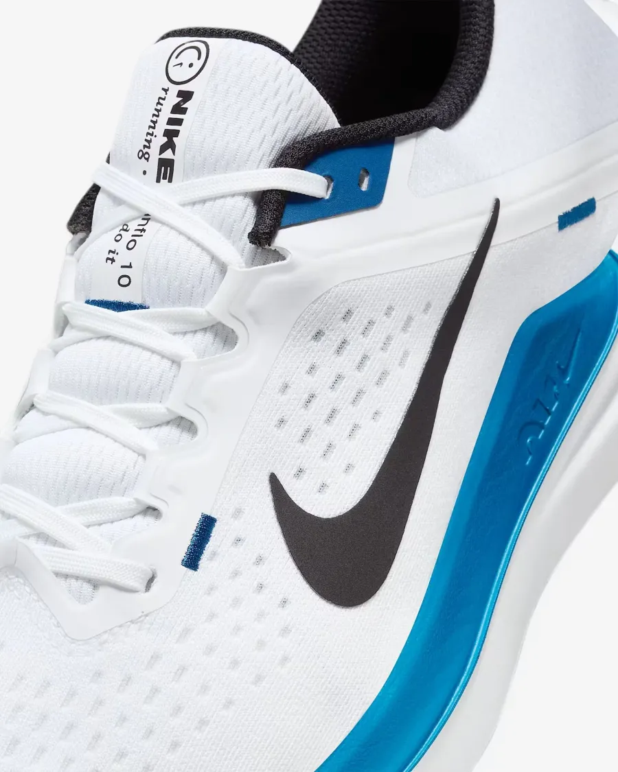 Кросівки Nike Winflo 10 DV4022-103