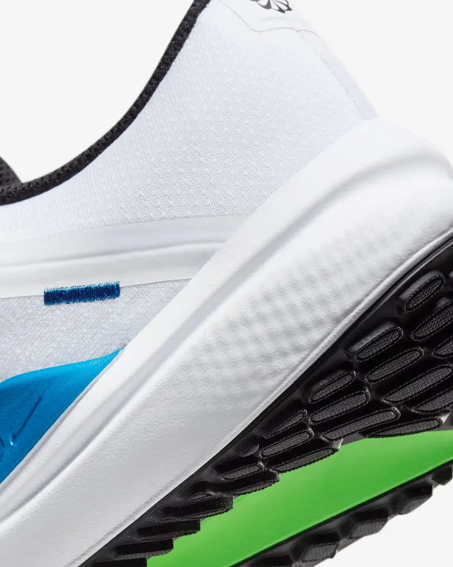 Кросівки Nike Winflo 10 DV4022-103