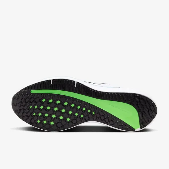 Кросівки Nike Winflo 10 DV4022-103