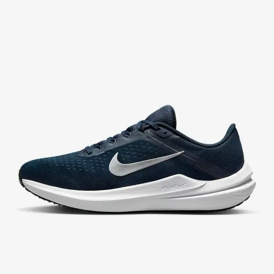 Кросівки Nike Winflo 10 DV4022-400