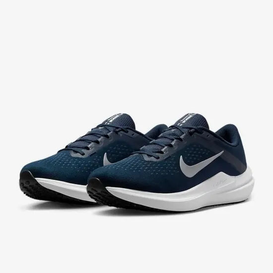 Кросівки Nike Winflo 10 DV4022-400