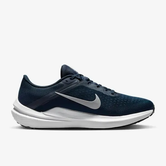 Кросівки Nike Winflo 10 DV4022-400
