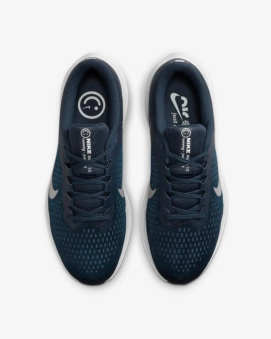 Кросівки Nike Winflo 10 DV4022-400