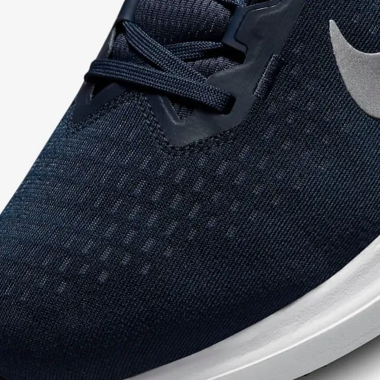 Кросівки Nike Winflo 10 DV4022-400