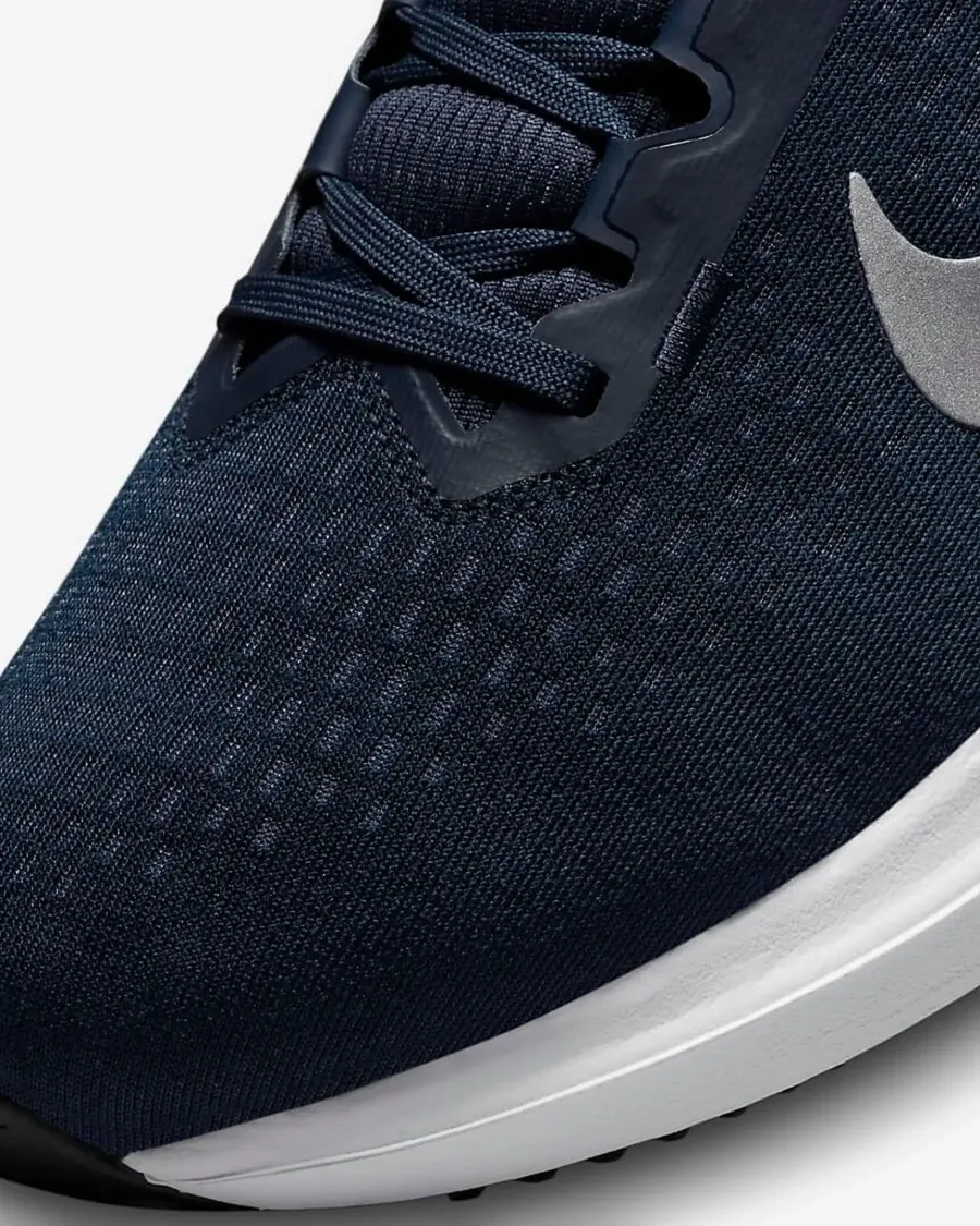 Кросівки Nike Winflo 10 DV4022-400