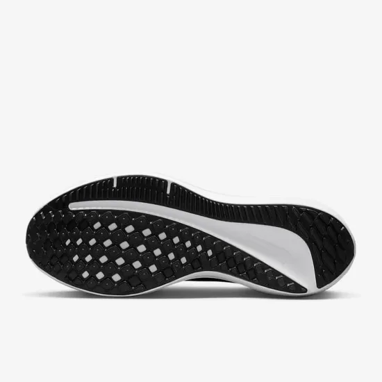 Кросівки Nike Winflo 10 DV4022-400