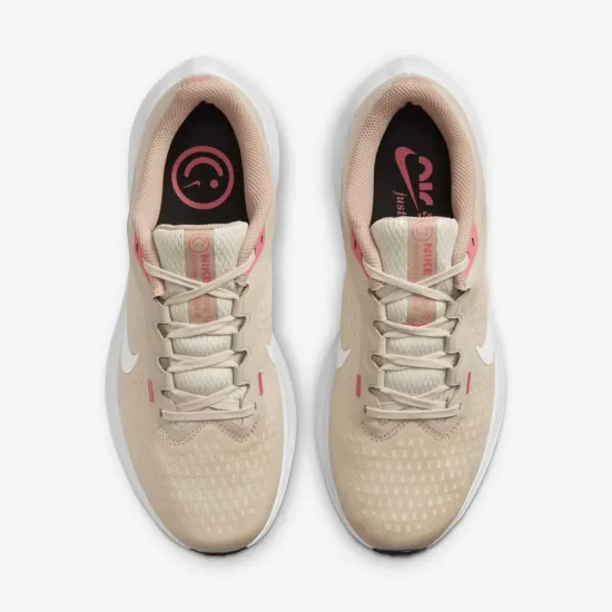 Кросівки Nike Winflo 10 DV4023-100