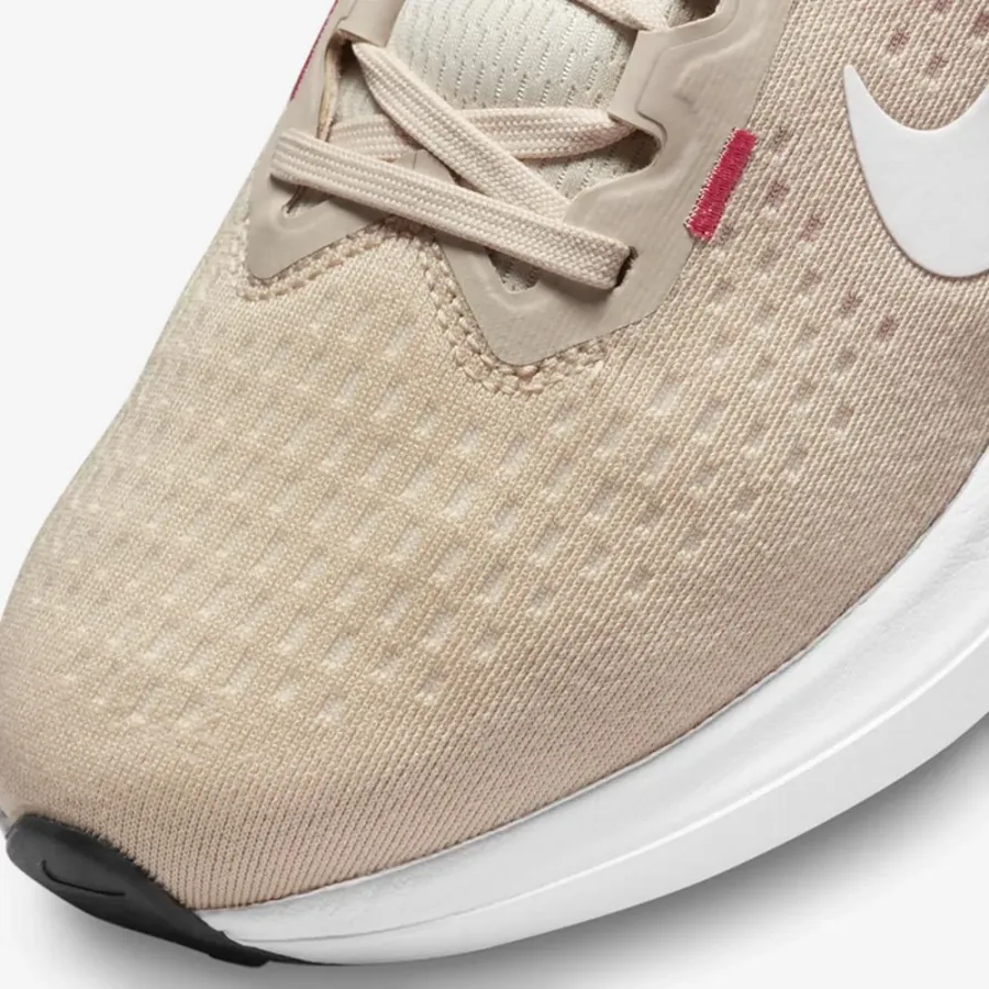 Кросівки Nike Winflo 10 DV4023-100