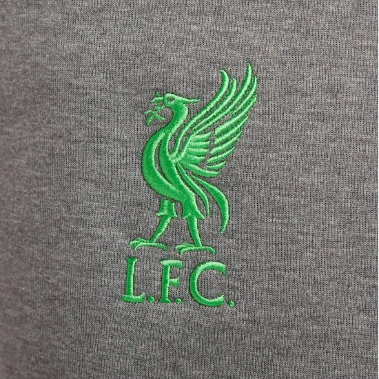 Штани Nike Liverpool F.C. Tech Fleece Joggers DV4834-071