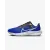 Кросівки Nike Air Zoom Pegasus 40 DV7480-401