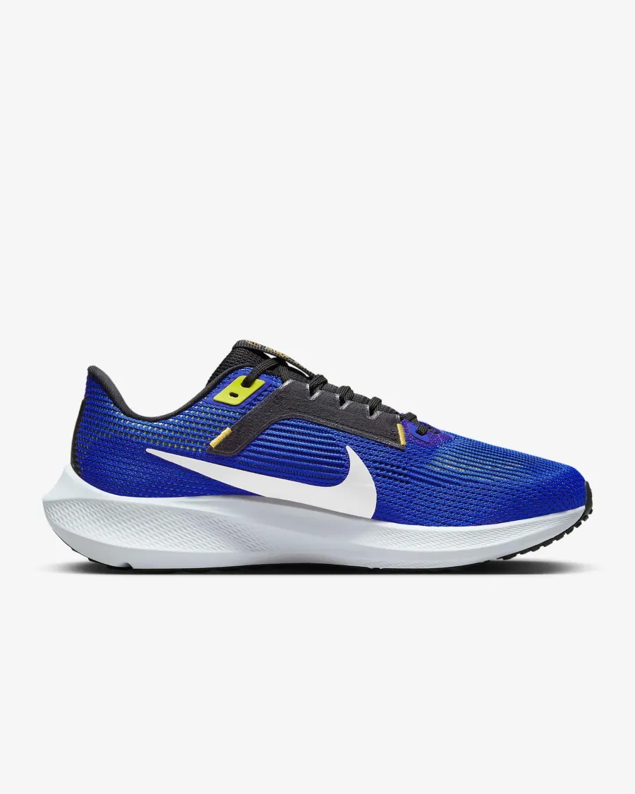 Кросівки Nike Air Zoom Pegasus 40 DV7480-401