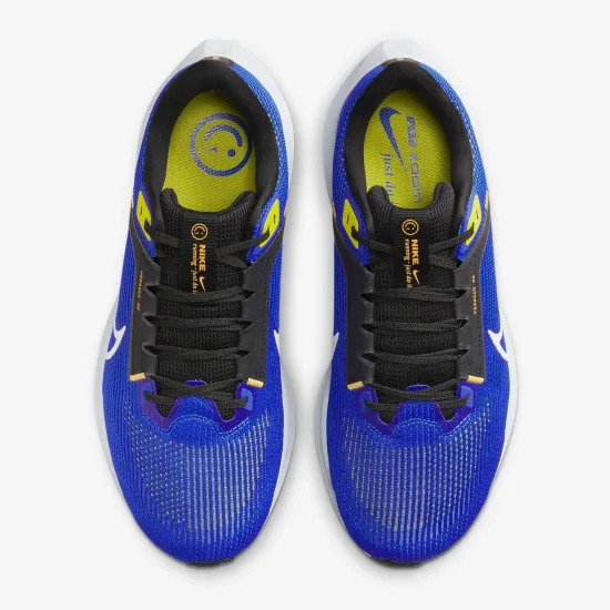 Кросівки Nike Air Zoom Pegasus 40 DV7480-401