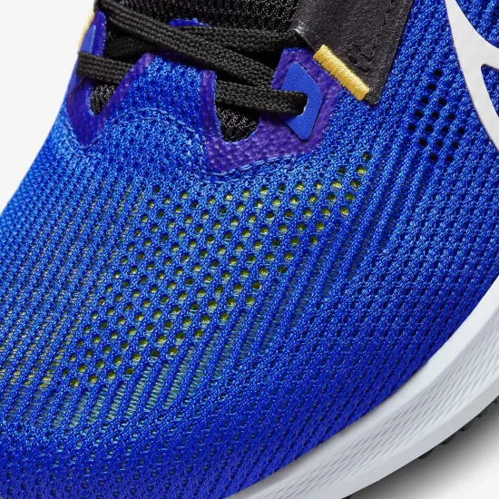 Кросівки Nike Air Zoom Pegasus 40 DV7480-401