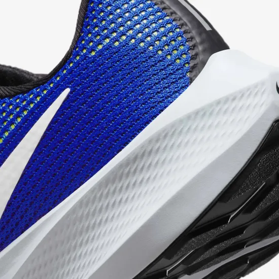 Кросівки Nike Air Zoom Pegasus 40 DV7480-401