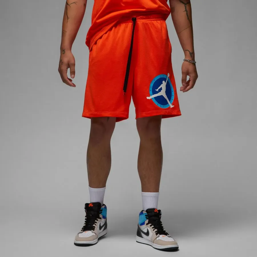 Шорти Nike Air Jordan Flight MVP Mesh DV7602-817