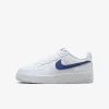 Кросівки Nike Air Force 1 Low DV7762-103