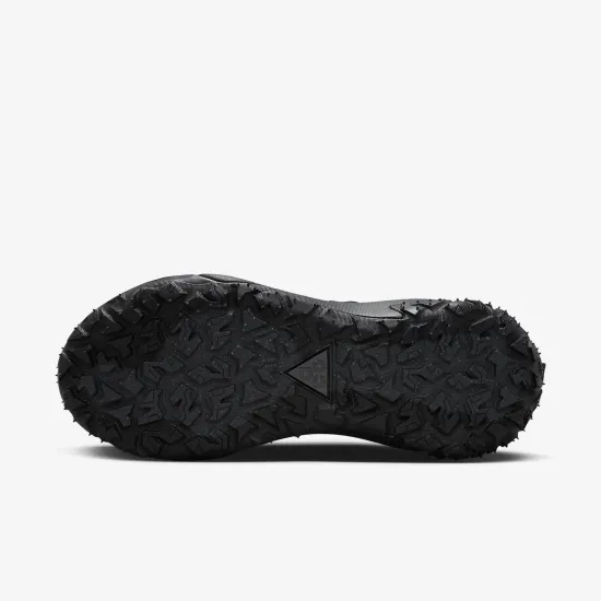Кросівки Nike ACG Mountain Fly 2 Low DV7903-002