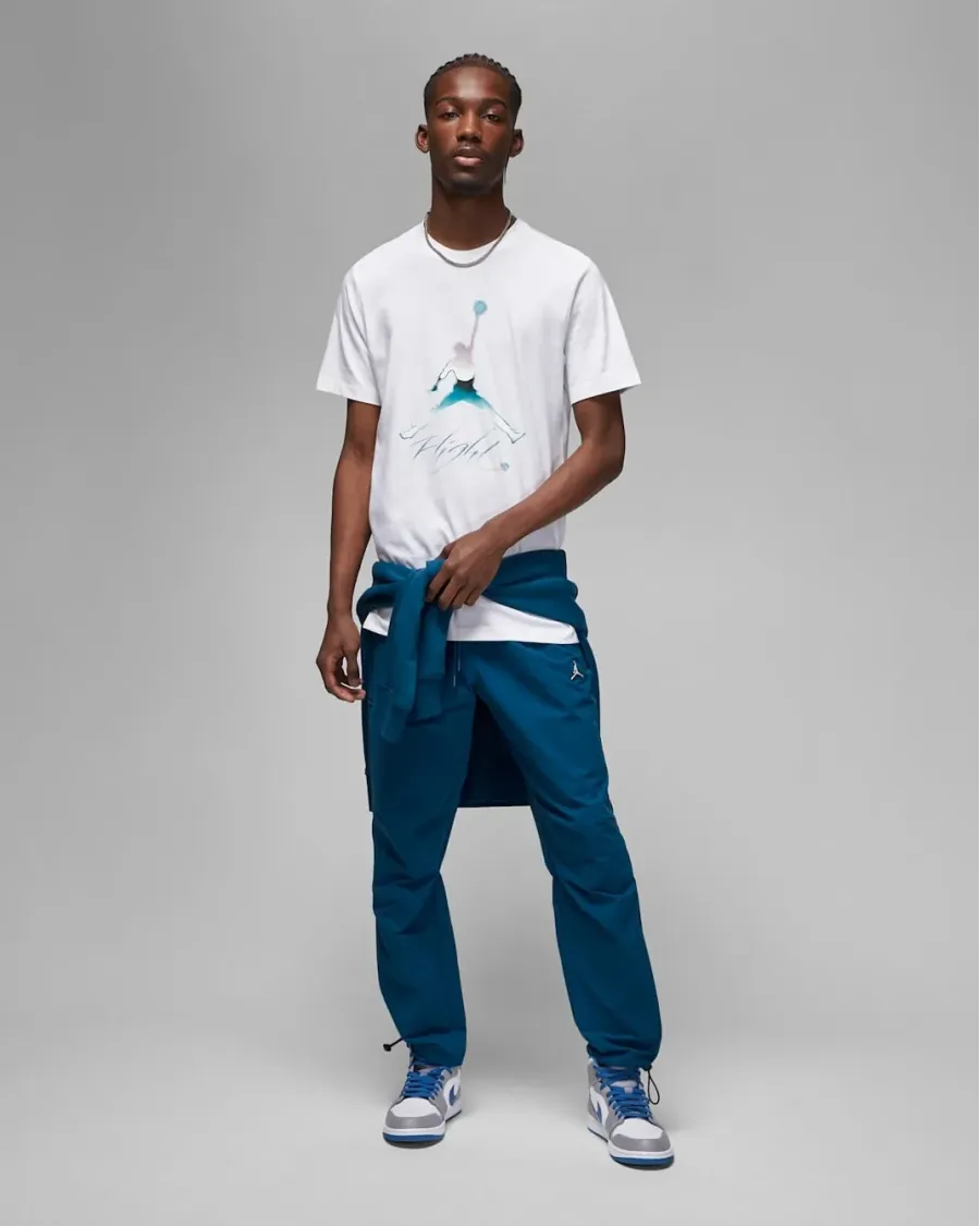 Футболка Nike Air Jordan Flight Graphic DV8414-100