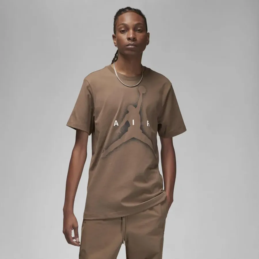 Футболка Nike Air Jordan Essential Graphic SS Crew DV8420-274