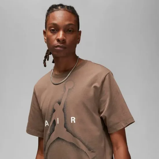Футболка Nike Air Jordan Essential Graphic SS Crew DV8420-274