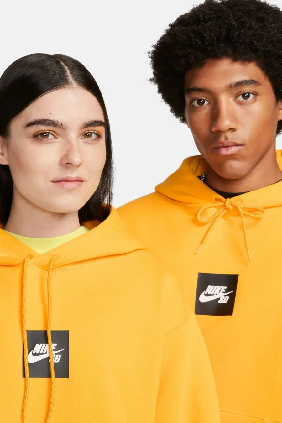 Кофта Nike SB Fleece Box Logo DV8839-739