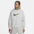 Кофта Nike Sportswear Repeat Fleece DX2029-063