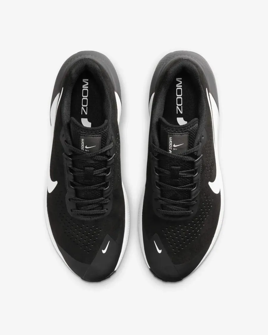 Кросівки Nike Air Zoom Tr 1 DX9016-002