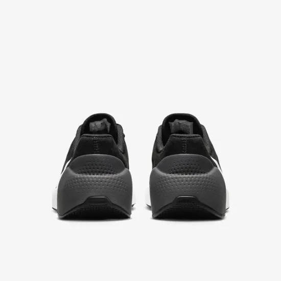 Кросівки Nike Air Zoom Tr 1 DX9016-002