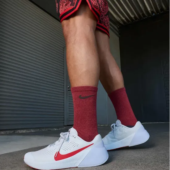 Кросівки Nike Air Zoom Tr 1 DX9016-004