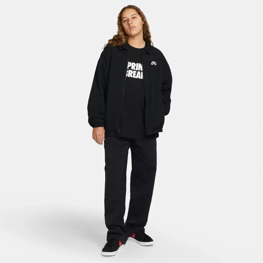 Футболка Nike SB Tee Spring Break DX9457-010