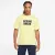 Футболка Nike SB Tee Spring Break DX9457-706