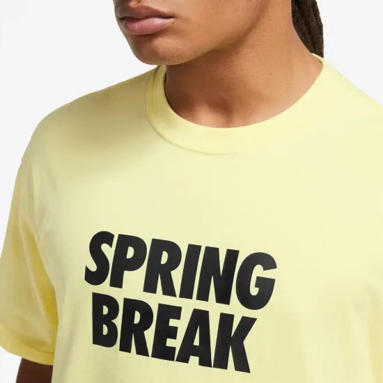Футболка Nike SB Tee Spring Break DX9457-706