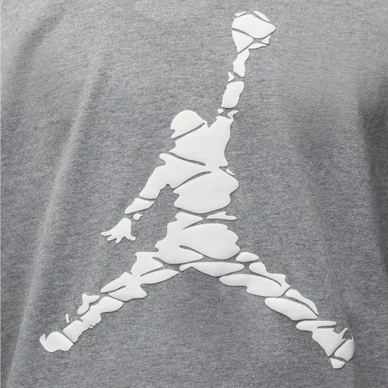 Футболка Nike Air Jordan Essentials ESS SS Crew 3 DX9581-091