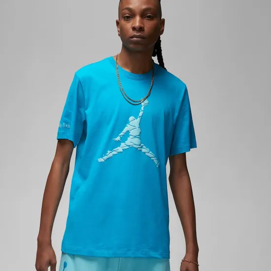 Футболка Nike Air Jordan Essentials ESS SS Crew 3 DX9581-483
