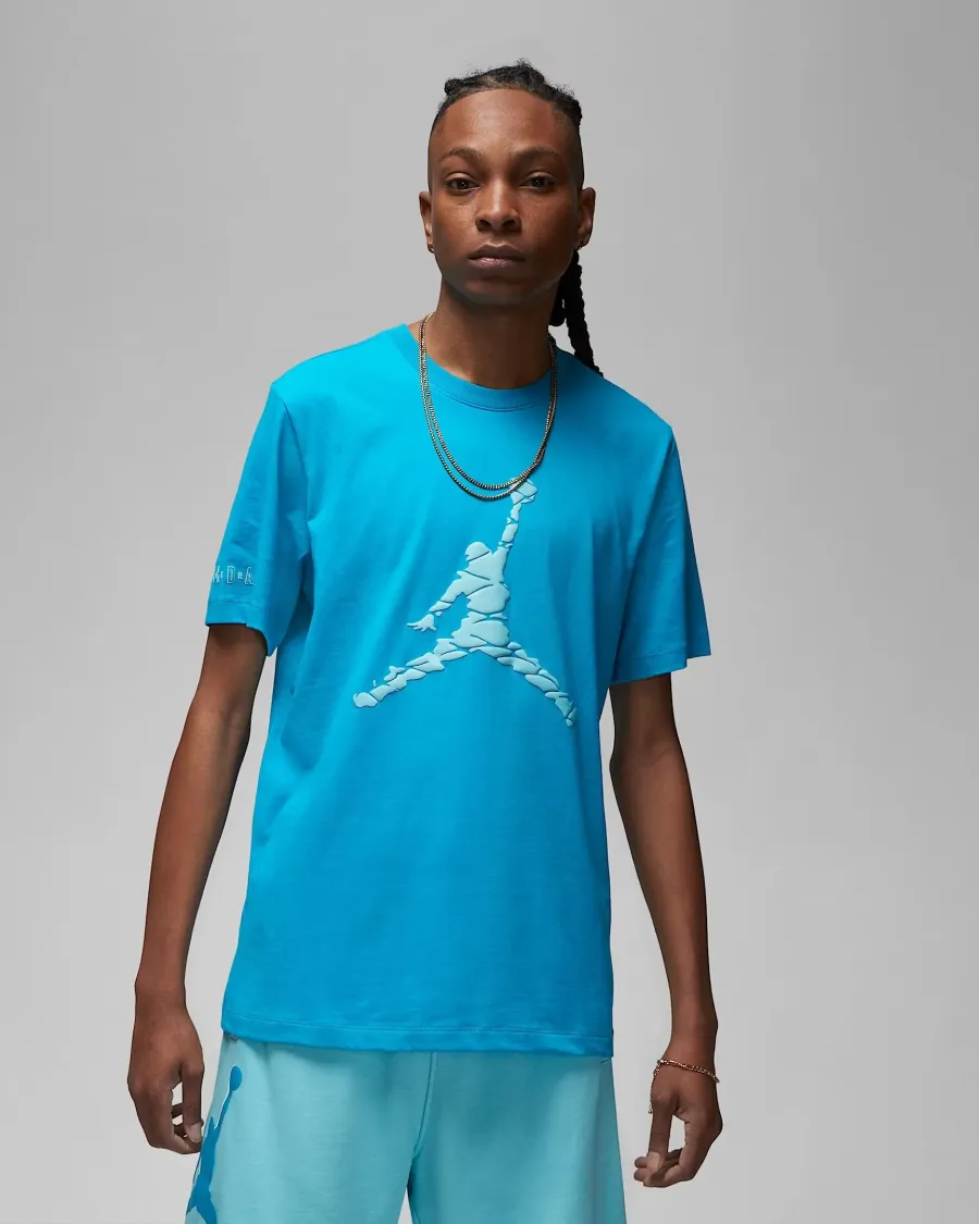 Футболка Nike Air Jordan Essentials ESS SS Crew 3 DX9581-483