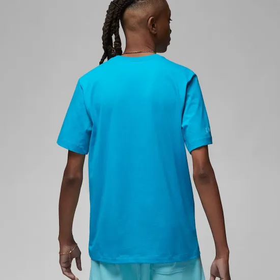Футболка Nike Air Jordan Essentials ESS SS Crew 3 DX9581-483